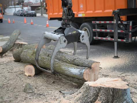 Debris cleanup service