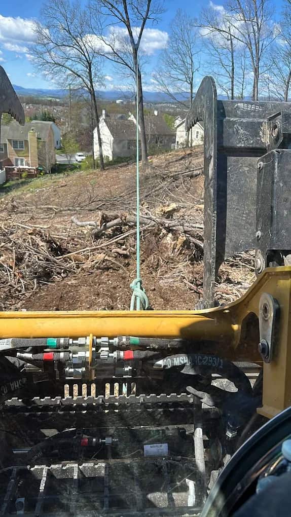 Y & VA Tree Services lead crew member